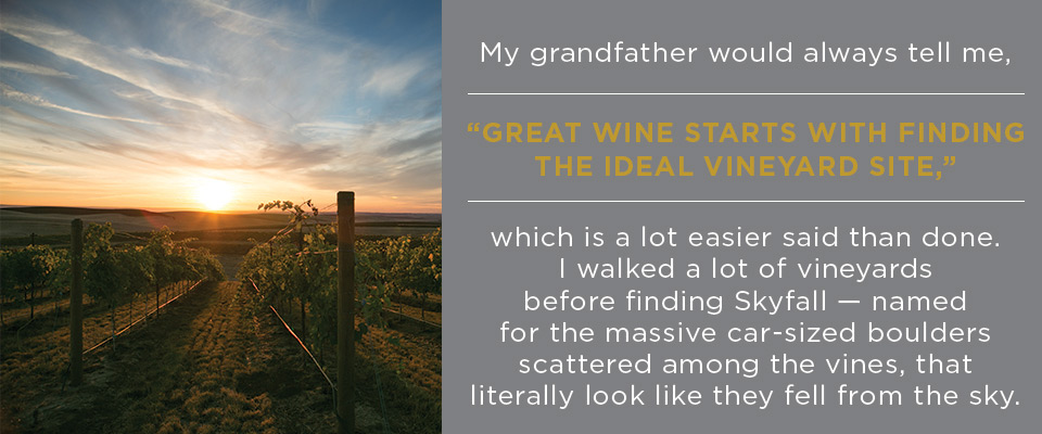 Skyfall Vineyards